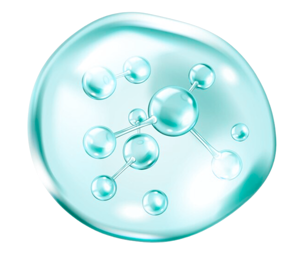 Vitamine A (Rétinol) : L’alliée pour protéger la peau des UV